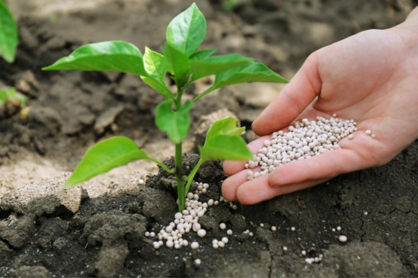 Fertilizantes Especializados